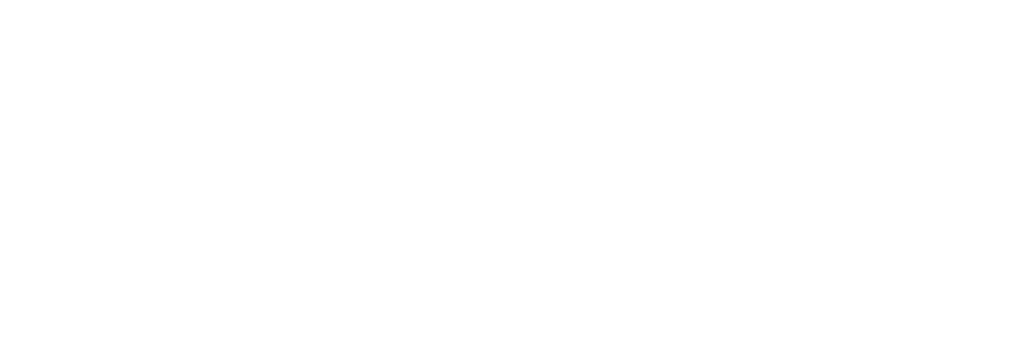Solution Publishing Logo
